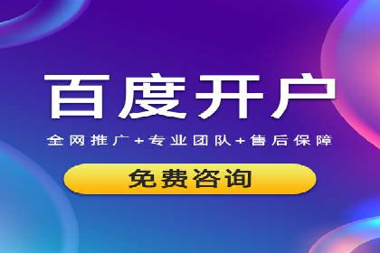 竞价广告案例分享：XX电商平台的成功秘诀